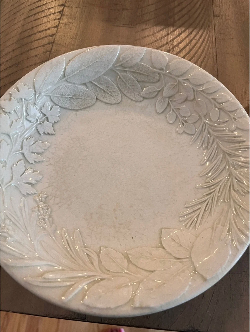 Williams-Sonoma Herb 9” Pasta Bowls Set of 3 Embossed Botanical Made in Italy